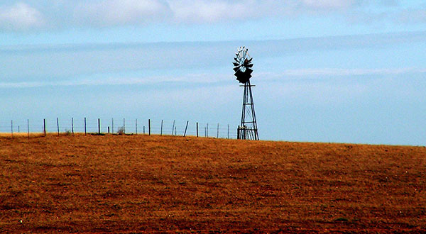 South Africa Votes To Seize Land from White Farmers without Compensation South Africa Votes To Seize Land from White Farmers without Compensation